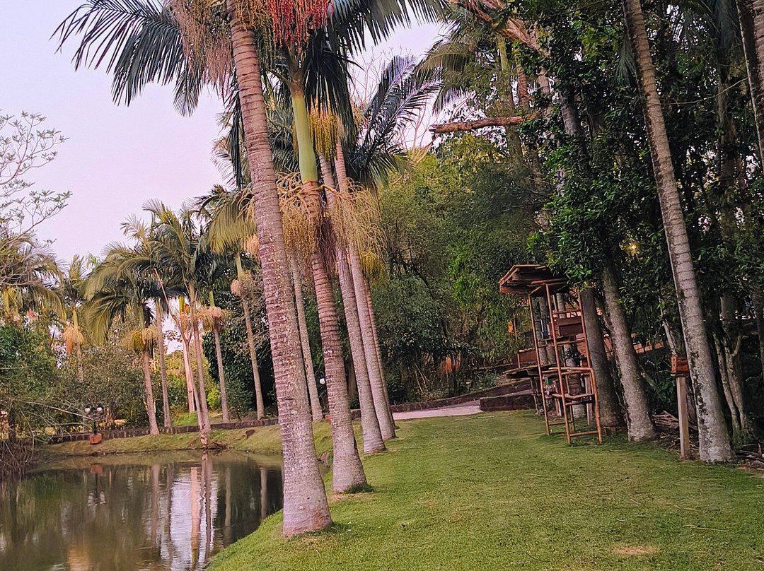 Paraiso Das Orquideas主图