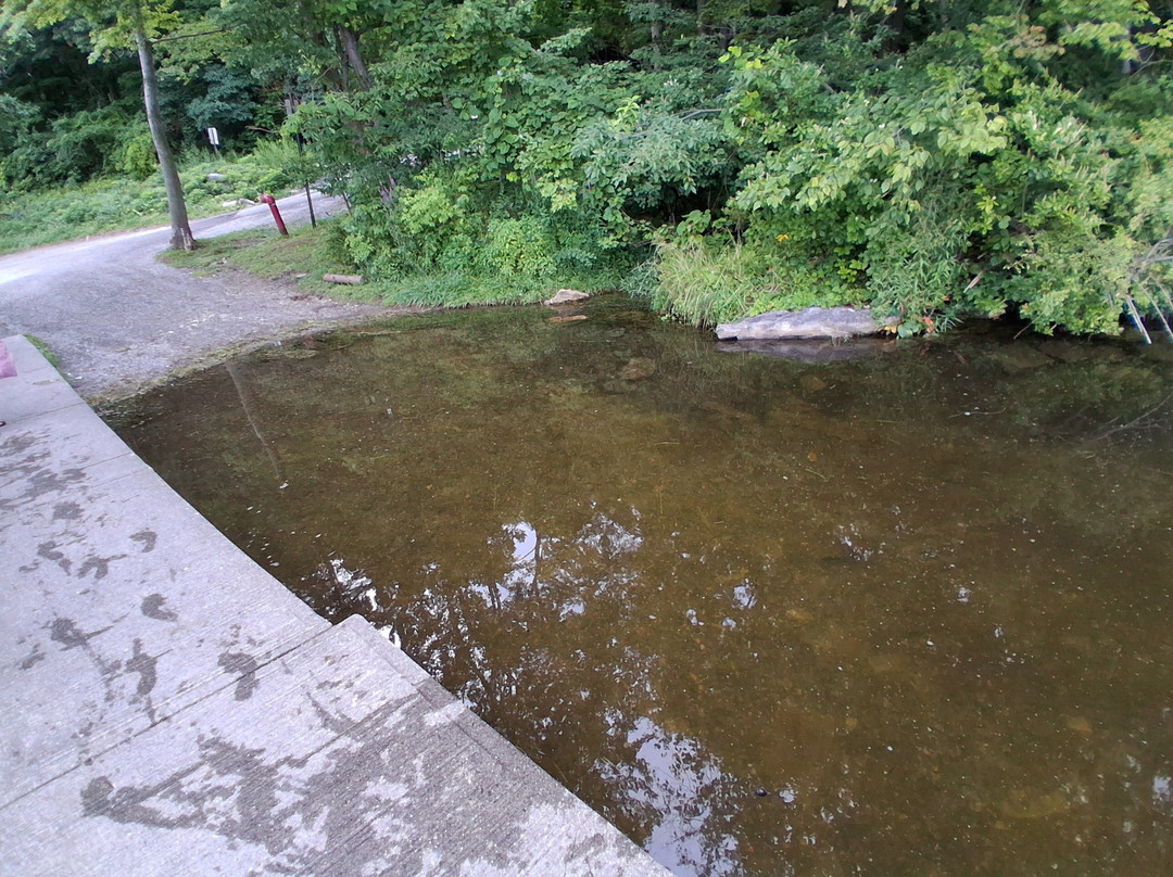 White Pond Multiple Use Area
