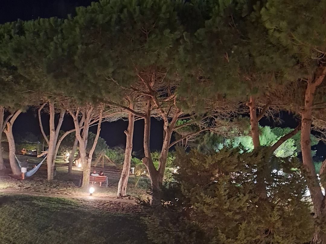UNA HOTELS Club Hotel Ancora Stintino主图