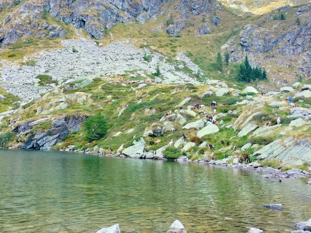 Lago della Vecchia-Piedicavallo必去景点