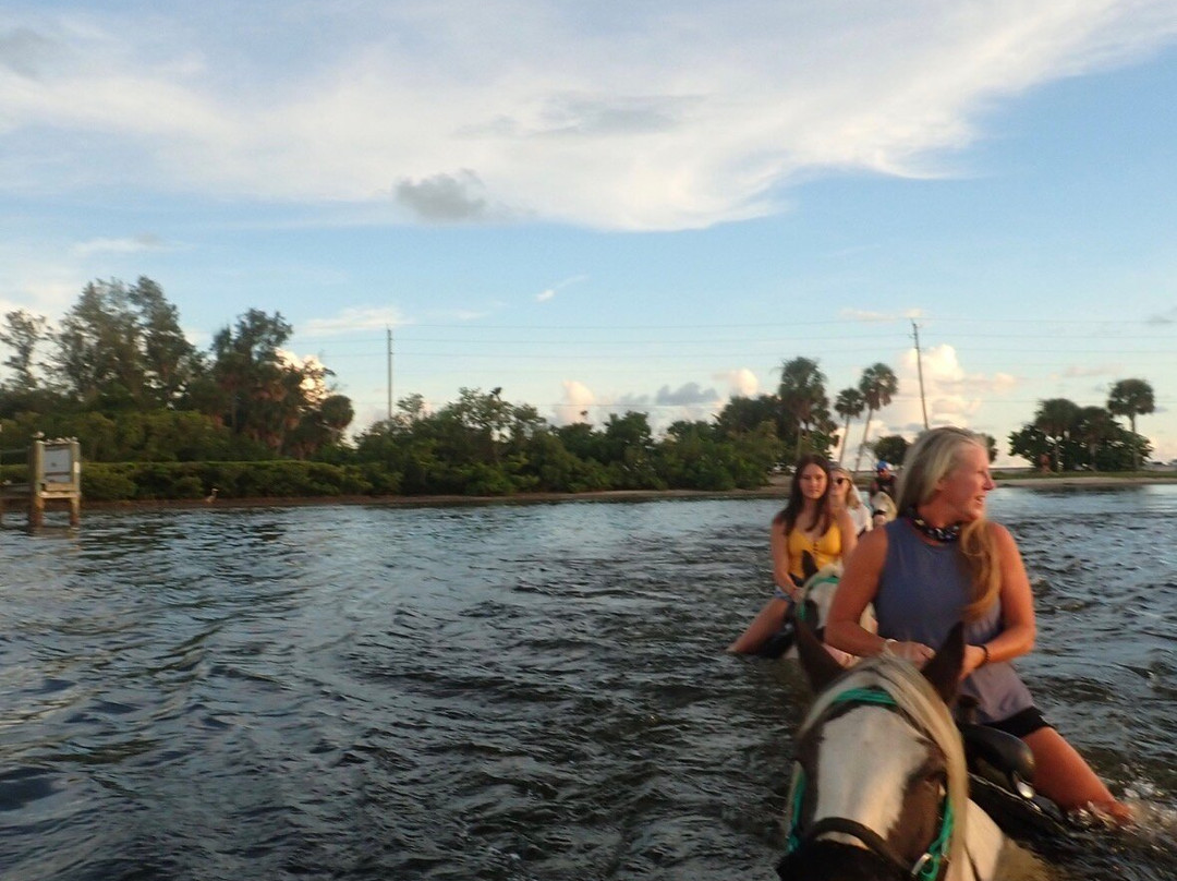C Ponies Beach Horseback Rides-布雷登顿必去景点