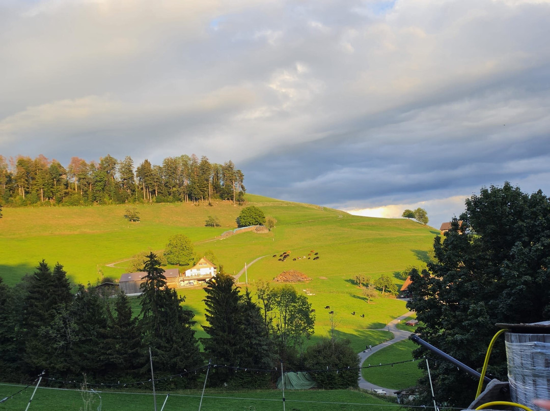 Alpenbad-Hinwil必去景点