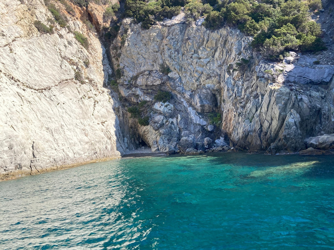 Motobarca Mickey Mouse-Marina di Campo必去景点