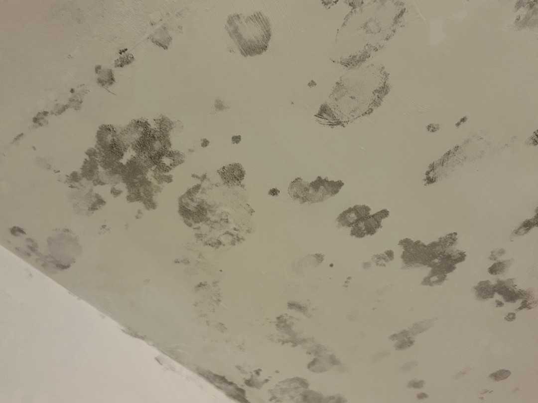 H10卡萨德尔马酒店主图