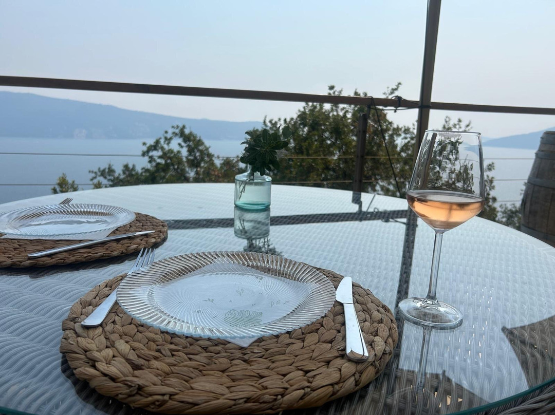 Savina Winery-赫尔采格诺维必去景点