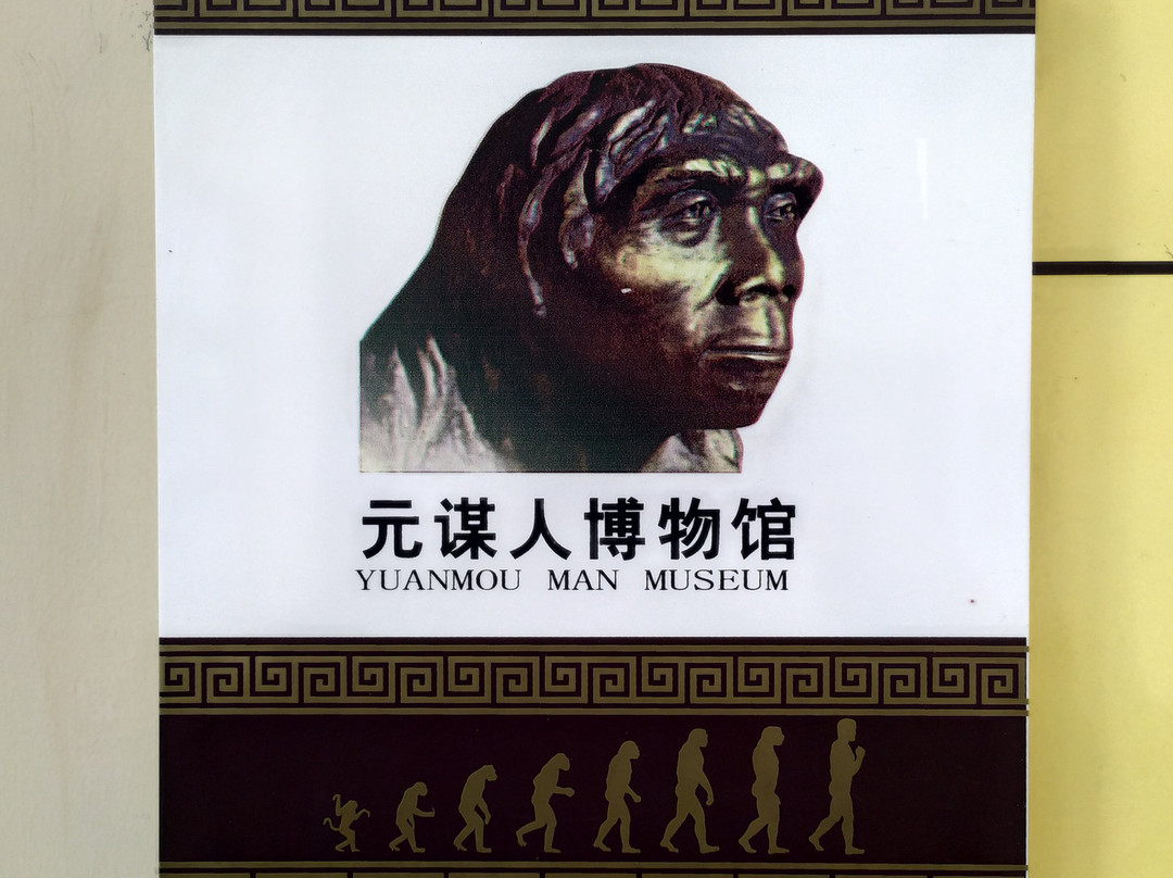 元谋人陈列馆-元谋县必去景点