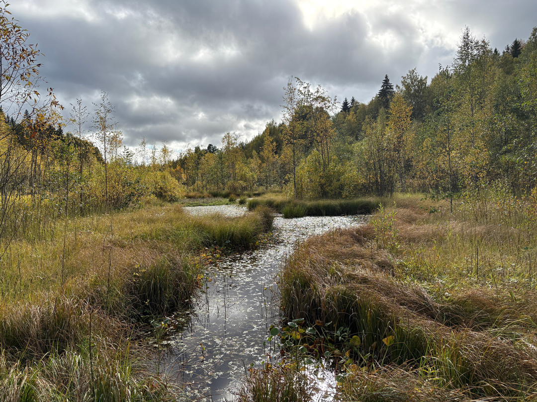 Sippulanniemi Nature Trail