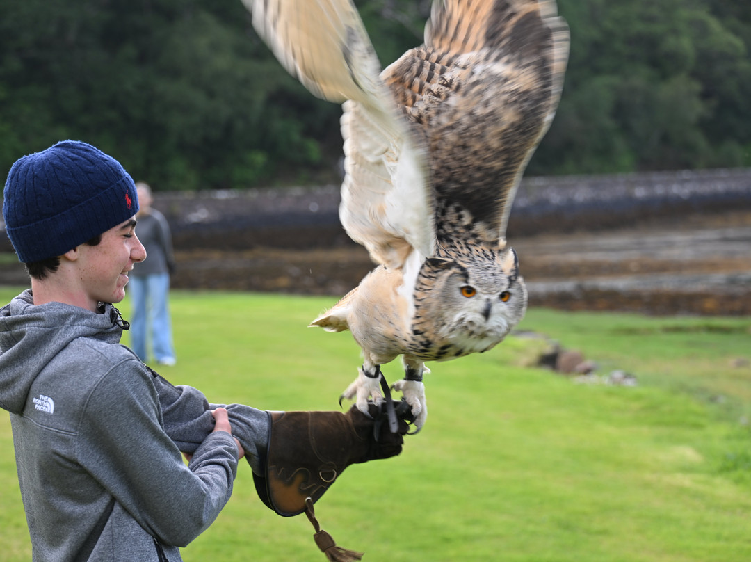 Shieldaig Falconry-盖尔洛赫必去景点
