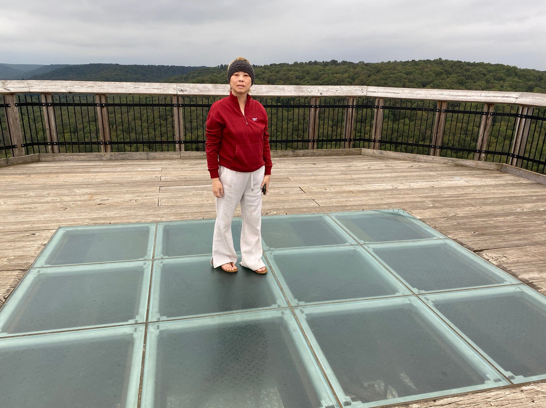Kinzua Bridge State Park-Mount Jewett必去景点