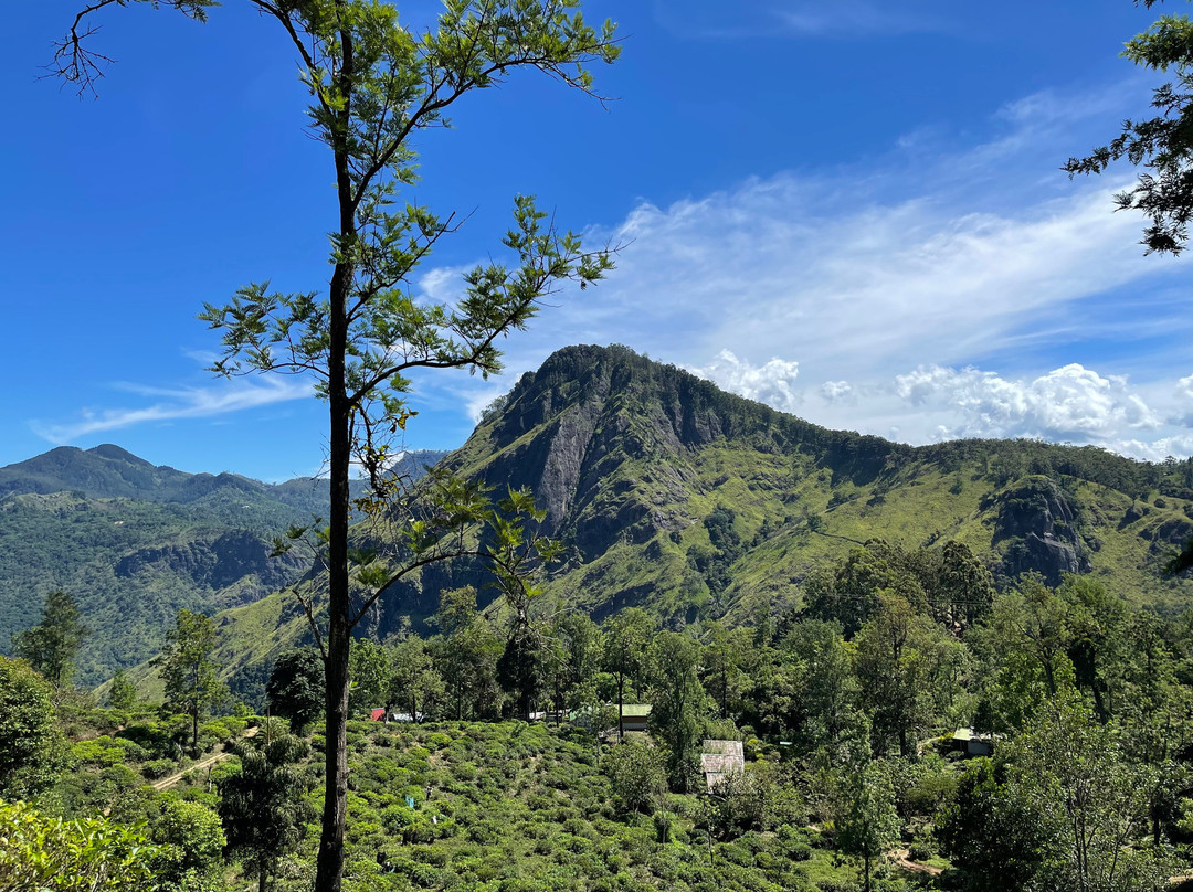 Ceylon Story Trails-Minuwangoda必去景点