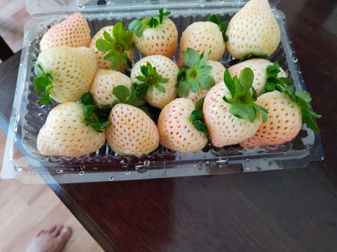 迪拉芬斯酒店主图
