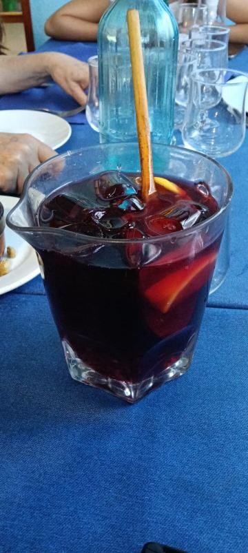 加罗纳酒店-旅行者