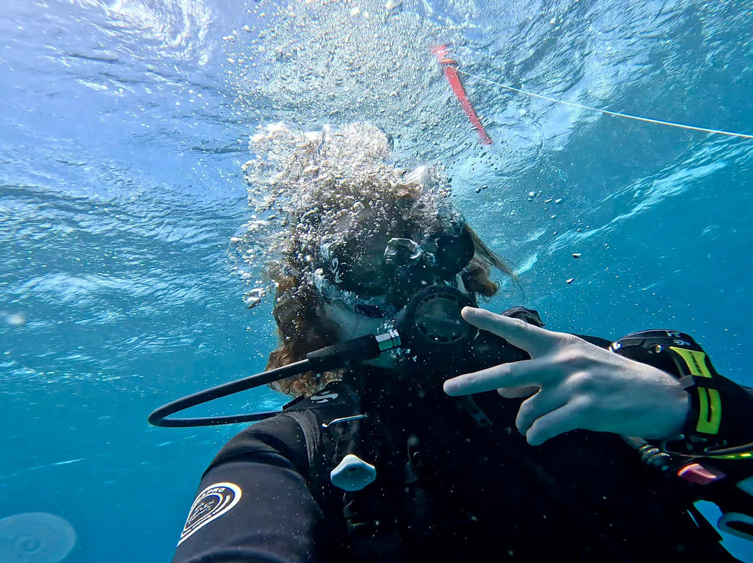 Aquanauts Grenada-True Blue必去景点