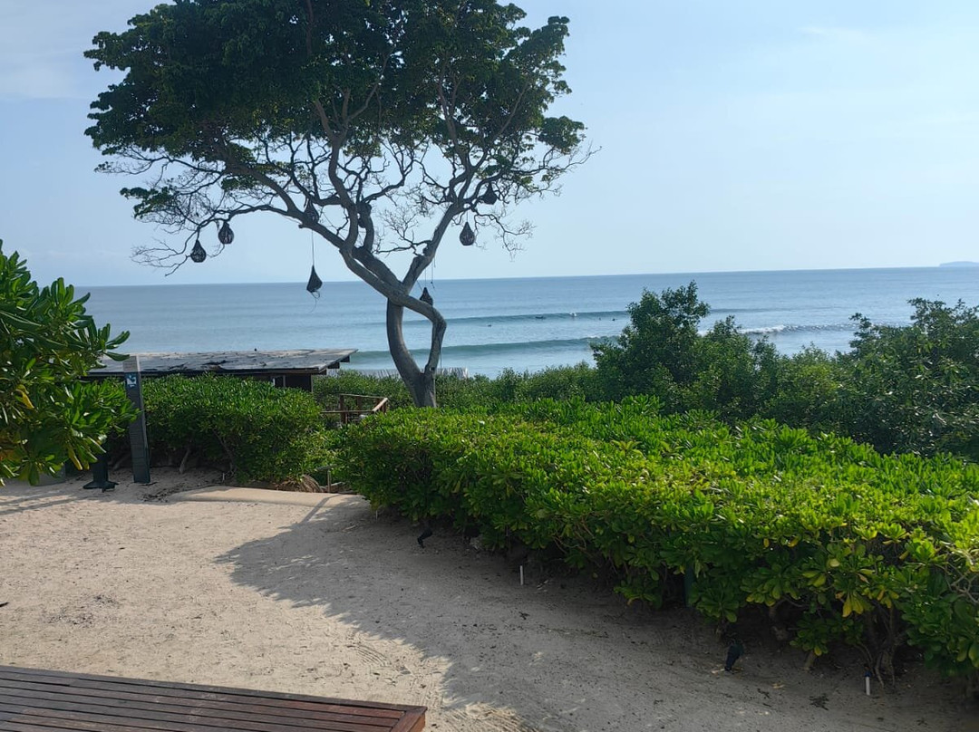 秘密巴伊亚米塔冲浪和水疗中心-全包-限成人主图