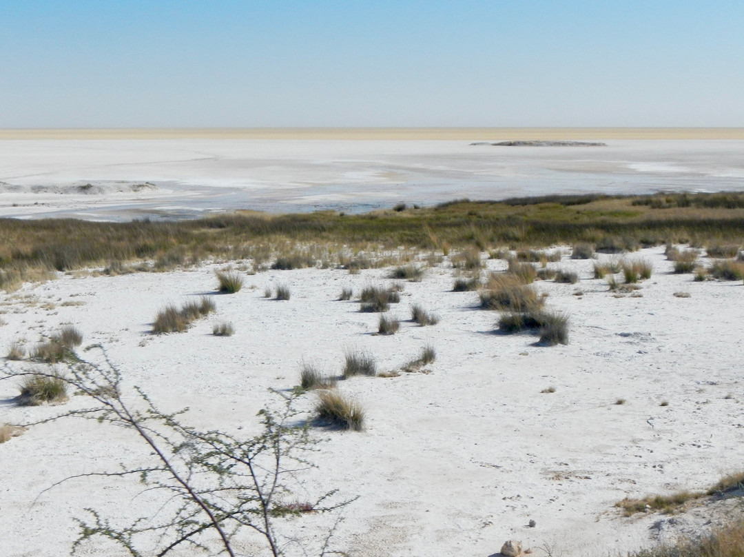 Etosha Pan-纳米比亚埃托沙国家公园必去景点