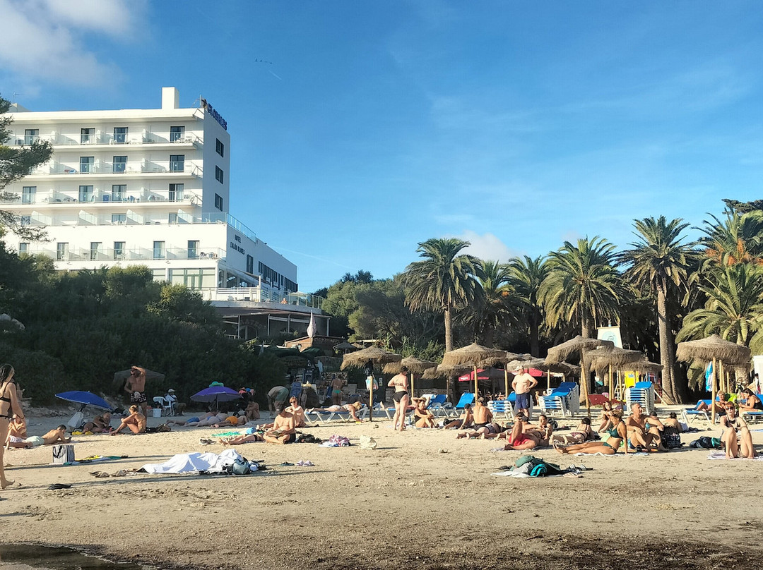 Globales Cala'n Blanes主图