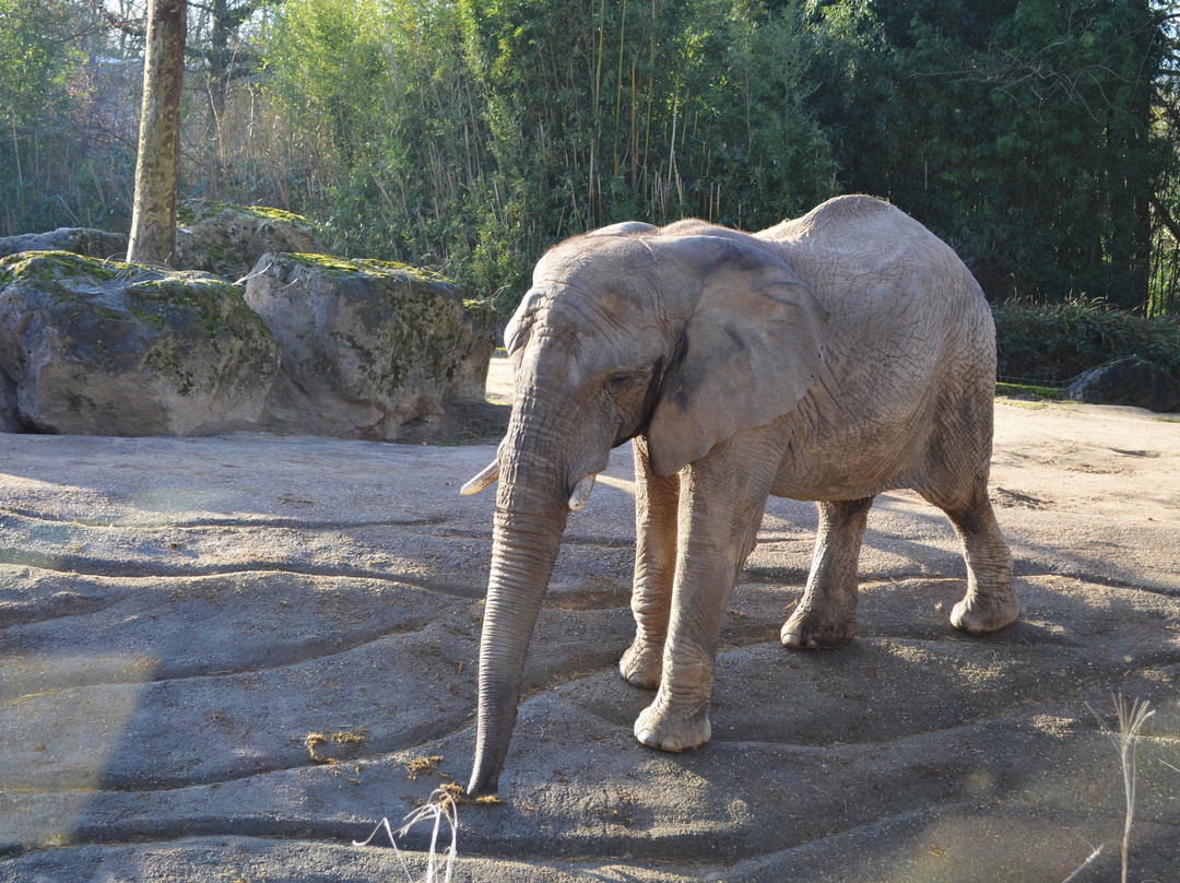 Zoo Duisburg-杜伊斯堡必去景点