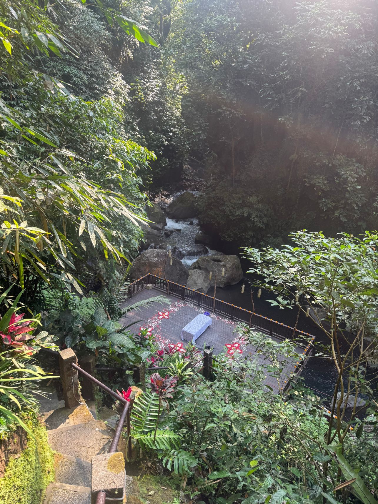 空中花园南迪尼丛林酒店-旅行者