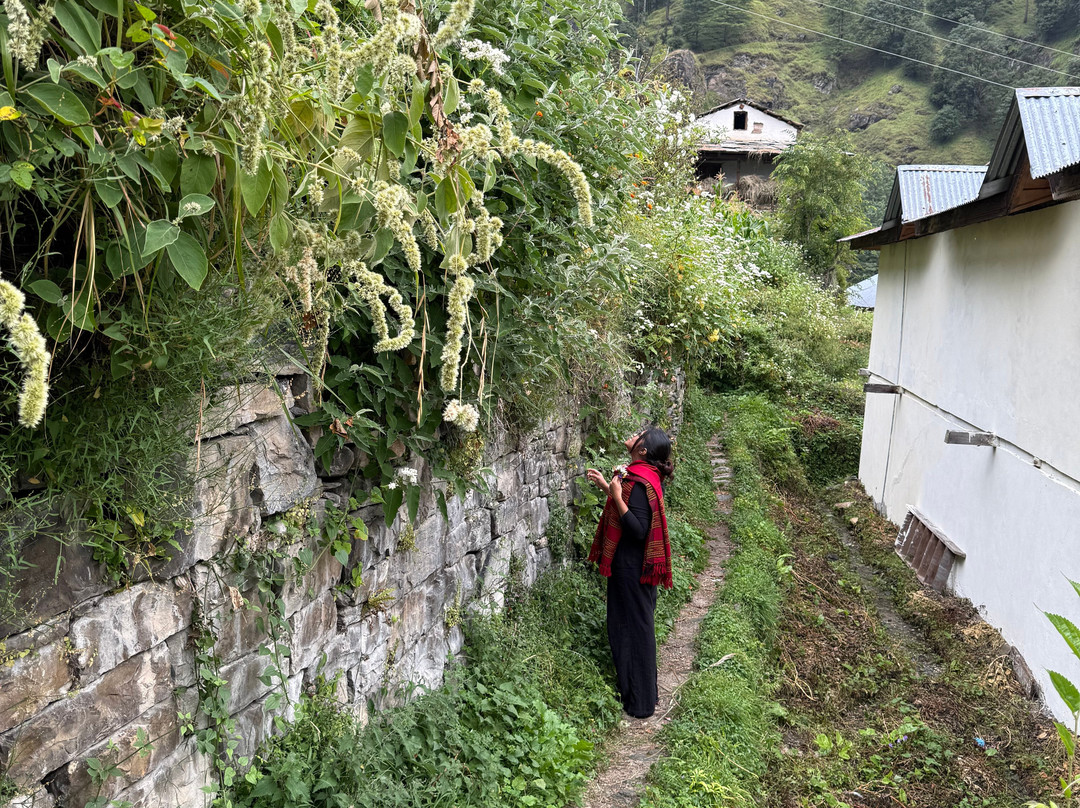 Zostel Homes Laida (Jibhi)主图