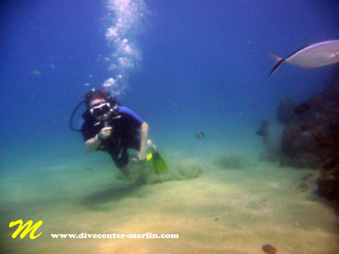 Divecenter Merlin-苏莎亚必去景点