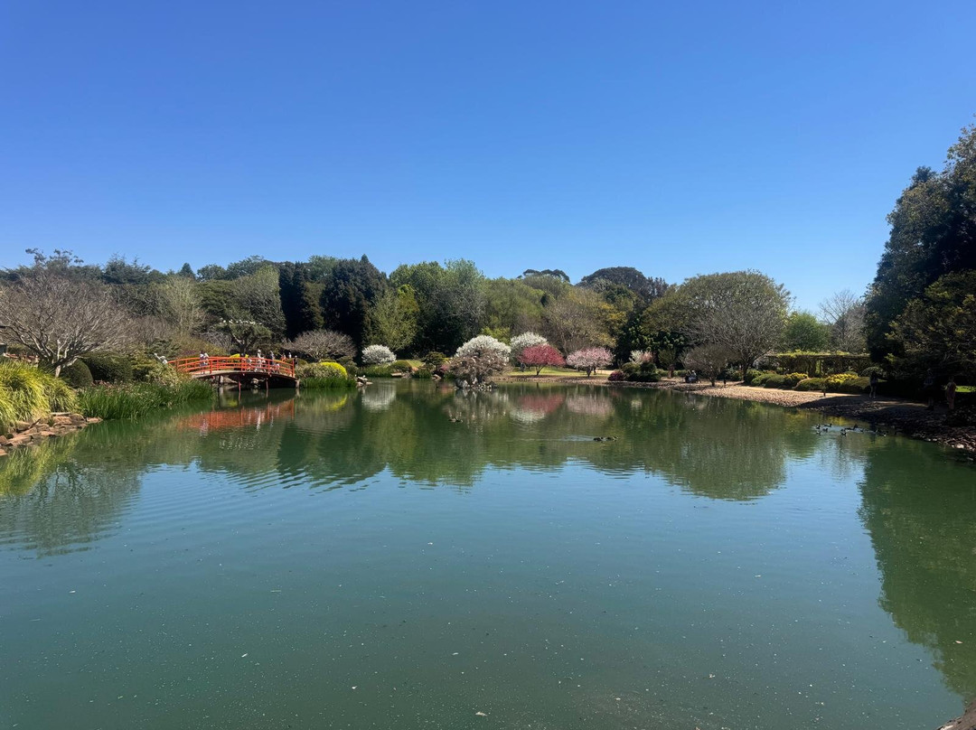 Japanese Garden-图沃柏必去景点