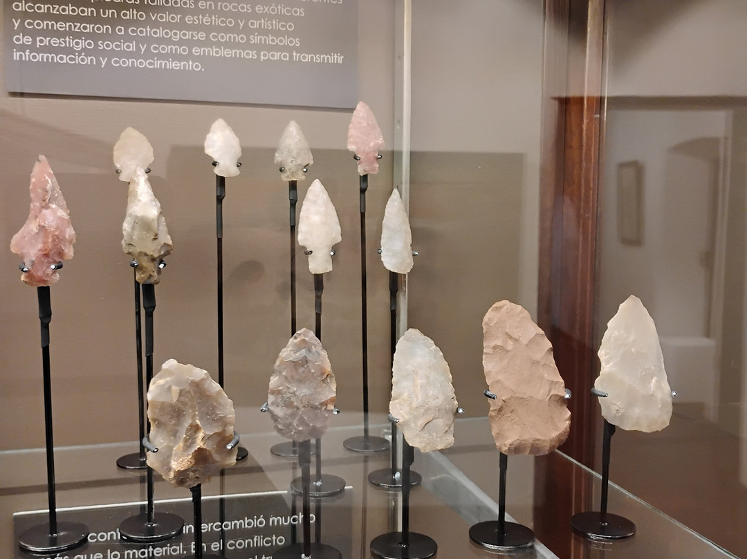 Museo Paleontologico-科洛尼亚·德尔萨克拉门托城必去景点