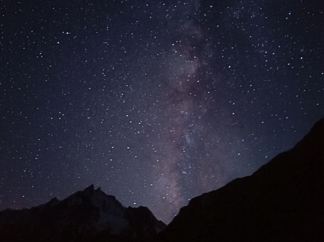 Himalayas Griffon-阿姆利则必去景点