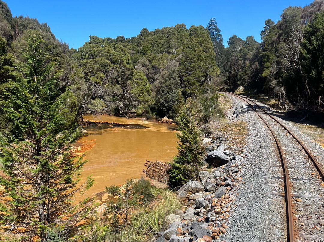 West Coast Wilderness Railway-皇后镇必去景点