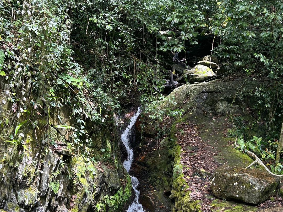 Crystal Cascades-Redlynch必去景点