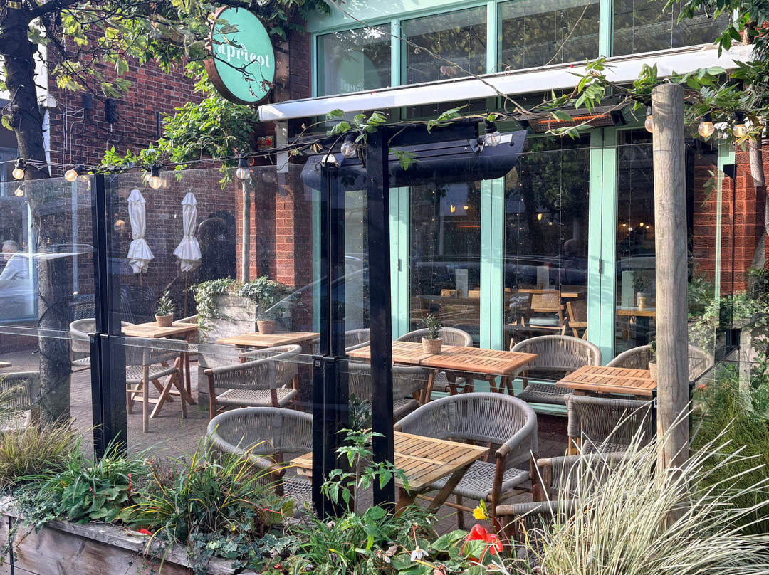 Apricot Brunch + Bar