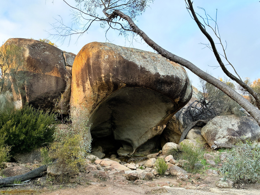 Wave Rock-海顿必去景点