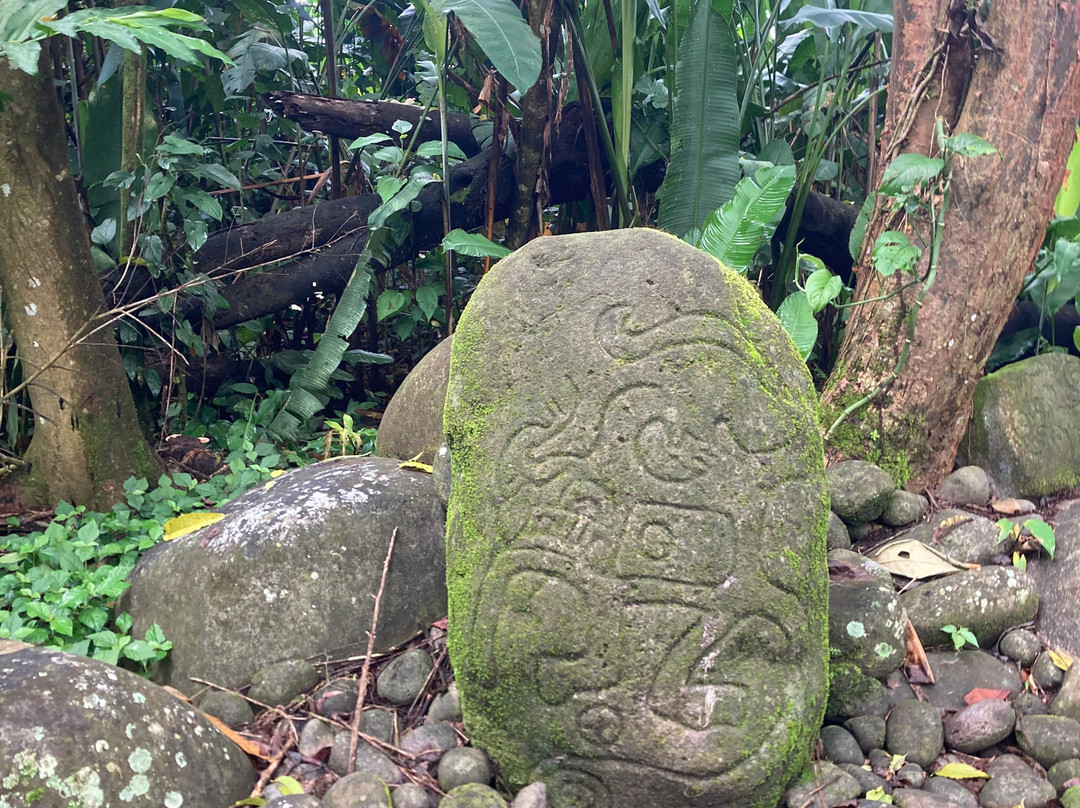 阿兰瓦萨拉皮基雨林旅馆主图