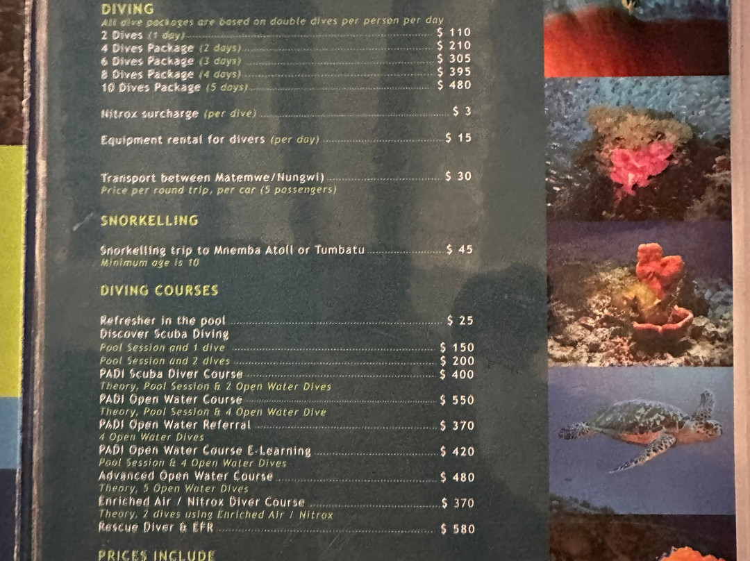 Dive Point Zanzibar-Matemwe必去景点