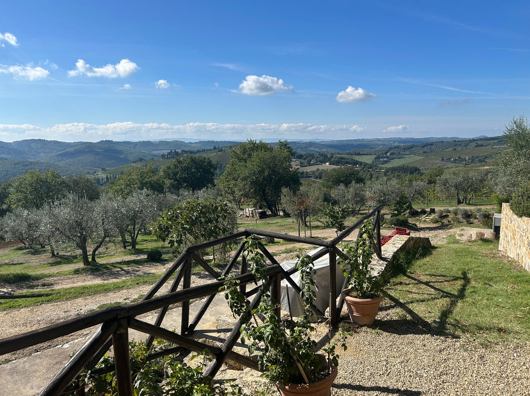 Renzo Marinai Chianti Farm And Vineyards