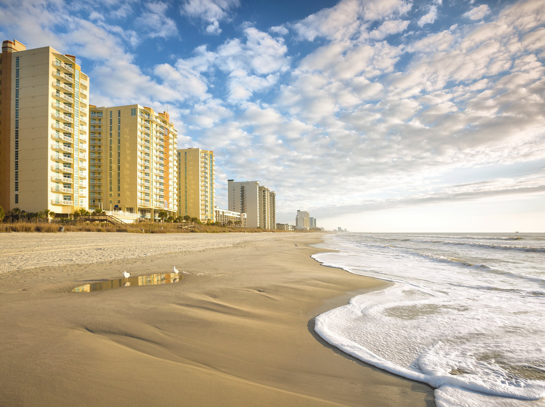 Club Wyndham Ocean Boulevard主图