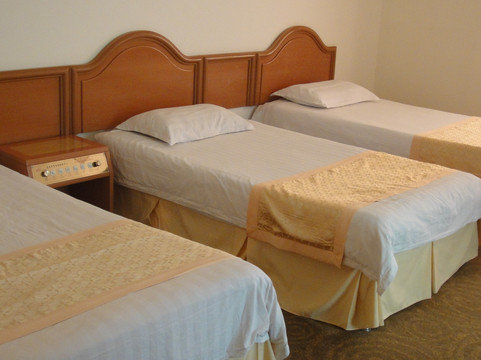 沂水商业宾馆主图