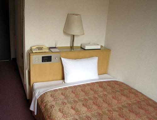 伊势原市酒店住宿-Isehara Daiichi Hotel