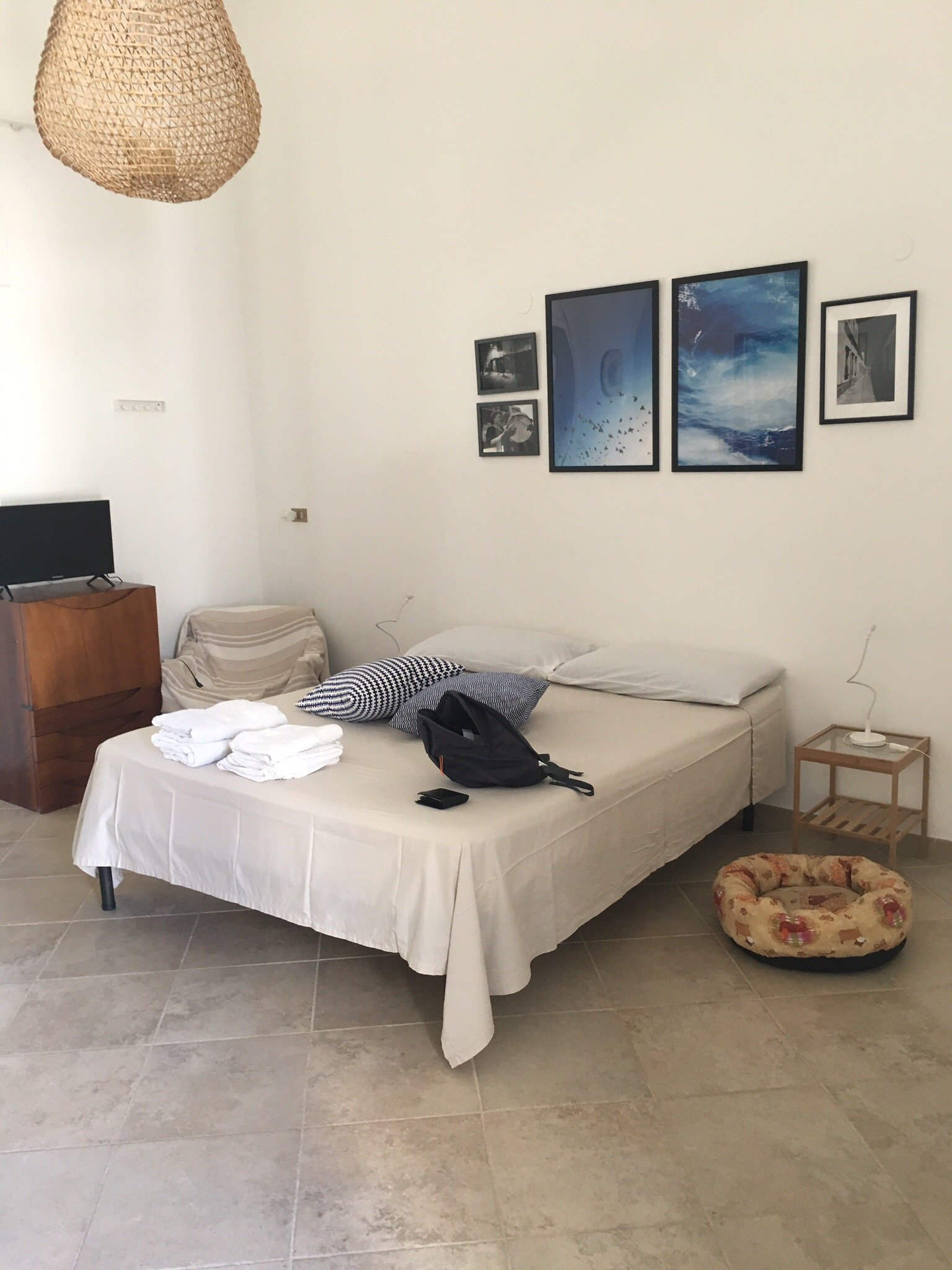 Tenuta Canneddi-官方