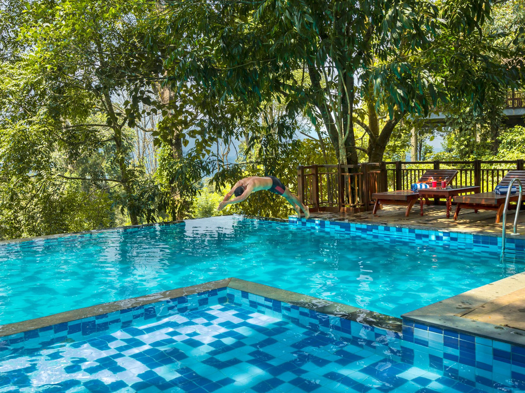 Vythiri Mist Resort主图