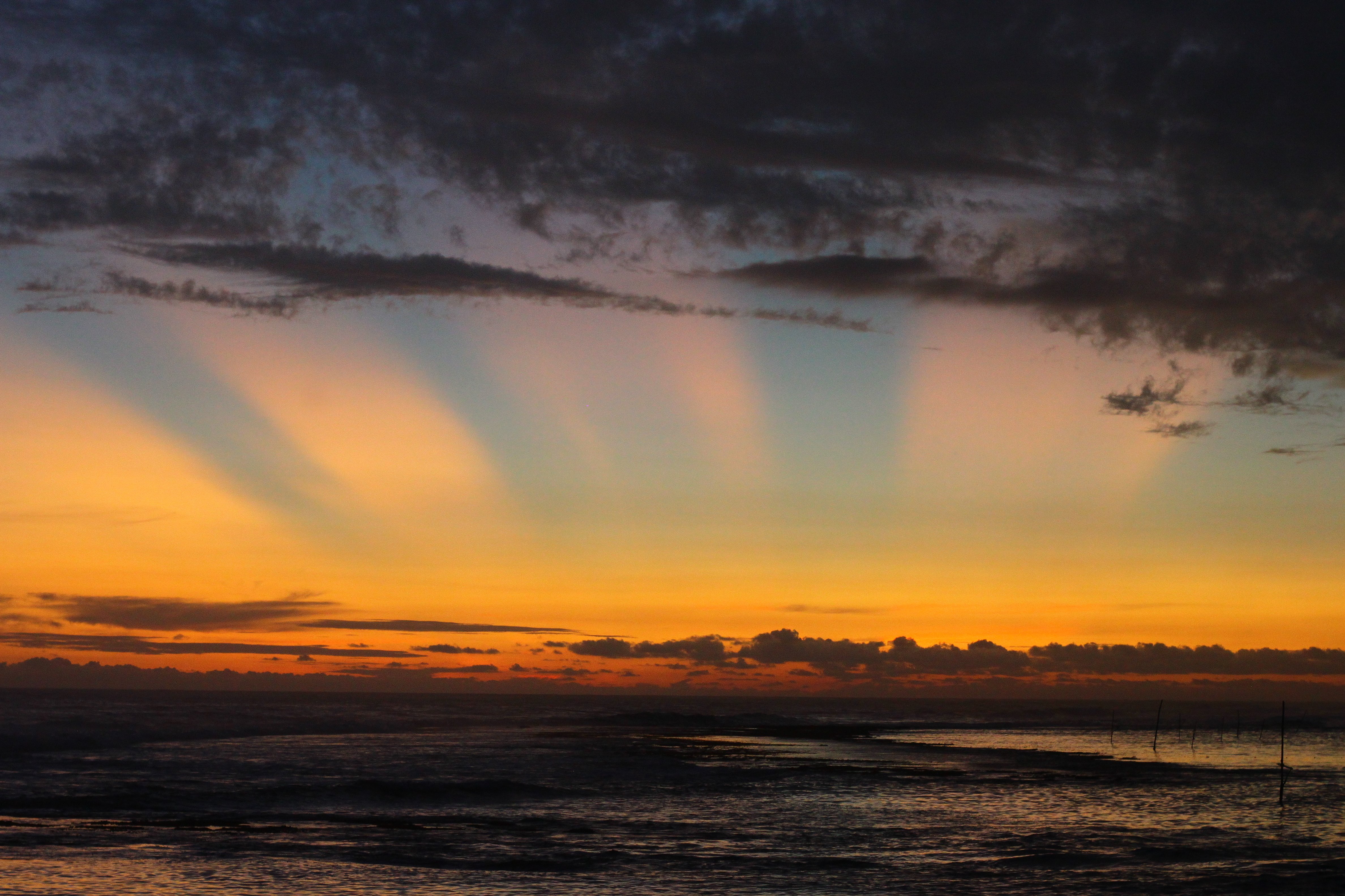 Turtle Eco Beach-官方