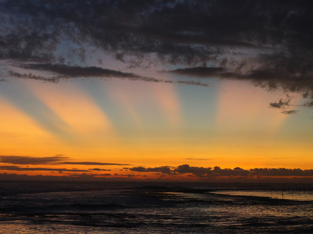 Turtle Eco Beach主图