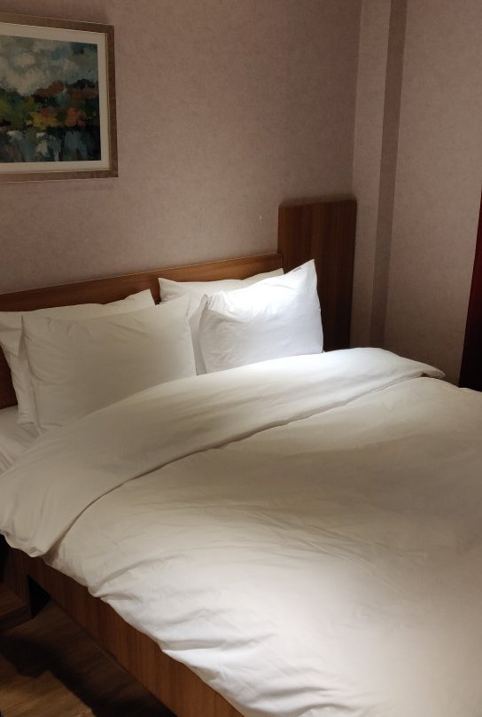 长水郡酒店住宿-Hotel Raon