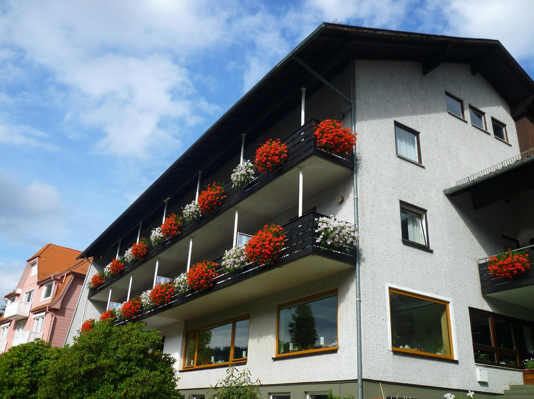 Bad Wildbad酒店住宿-Schwarzwald Panorama