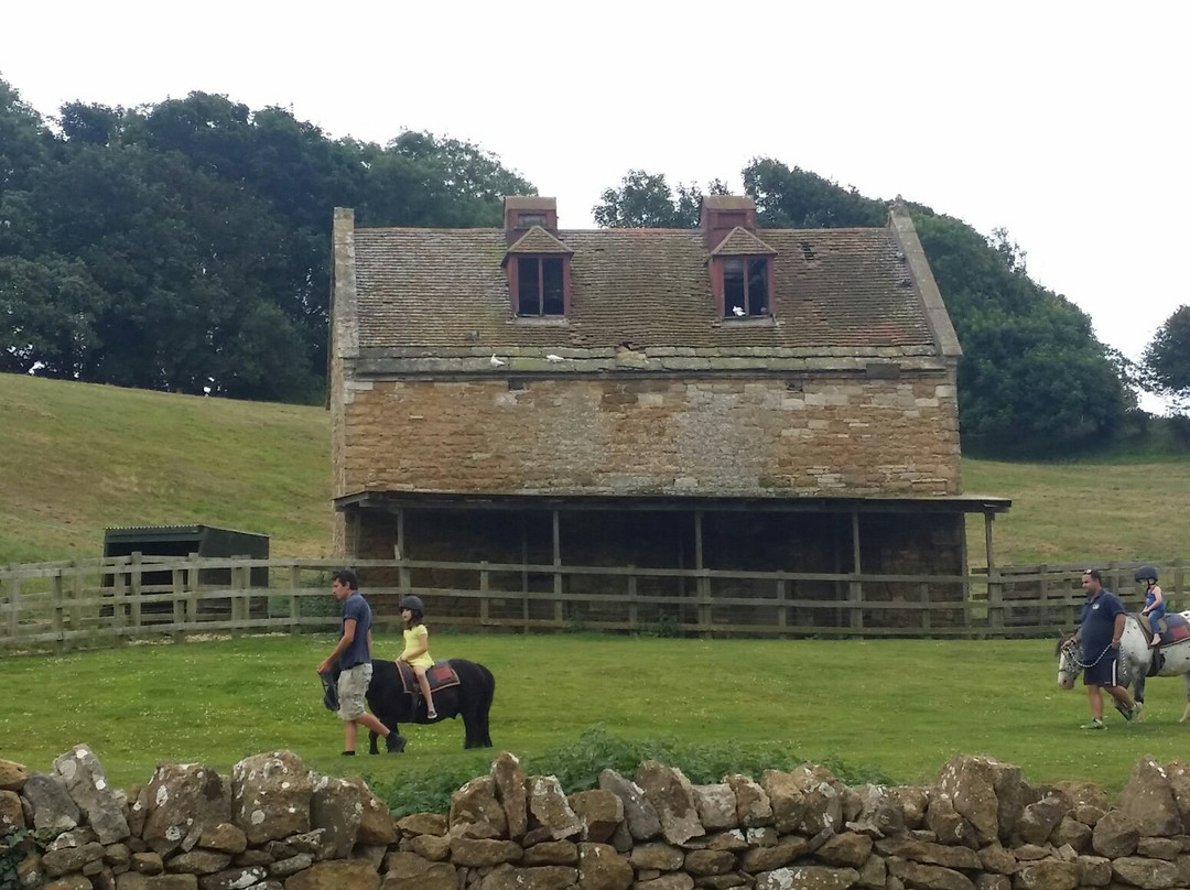 Abbotsbury Childrens Farm景点图片