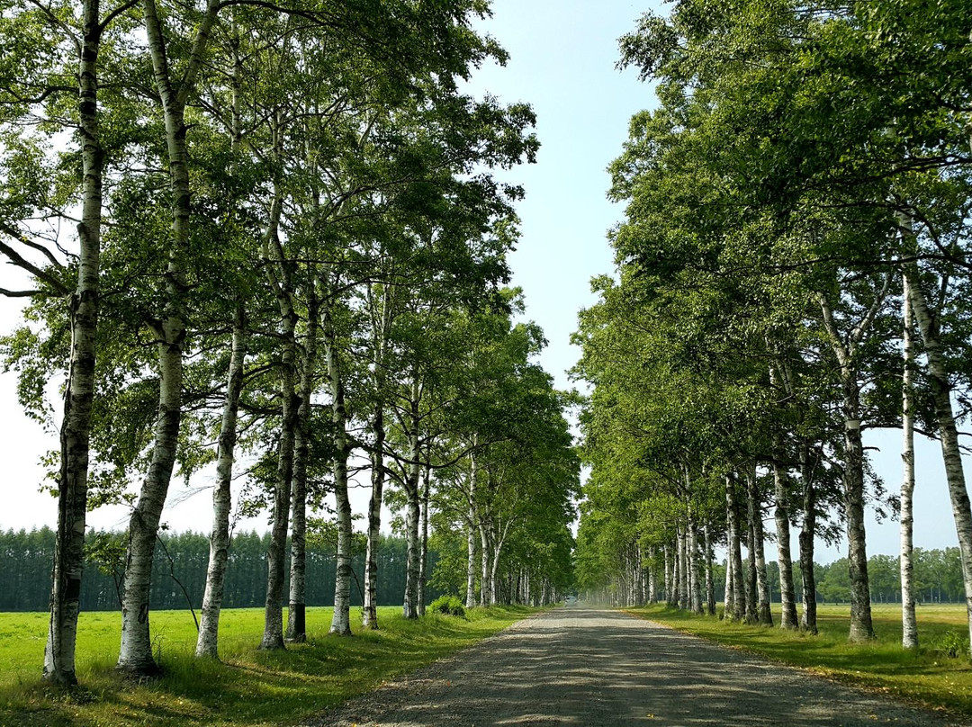 Tokachi Farm Observatory景点图片