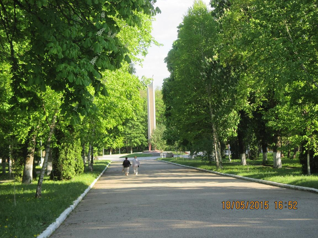 Park Pobedy (Angliyskiy Park)景点图片