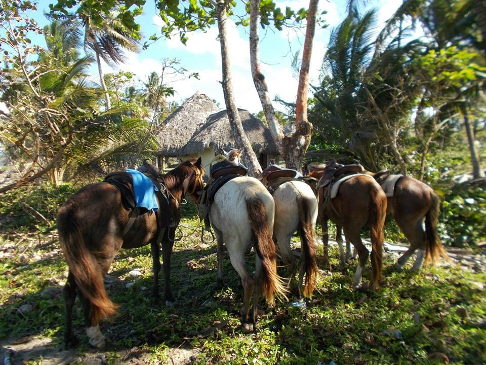 Rancho el Contento ( Cabarete )-Veragua必去景点