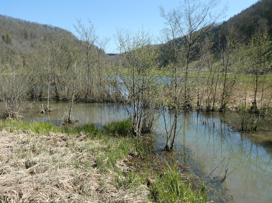 Biotop Wangental Natur Pur-Wilchingen必去景点