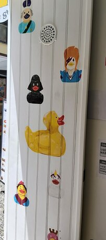 Madeira Duck Store-沙尔必去景点