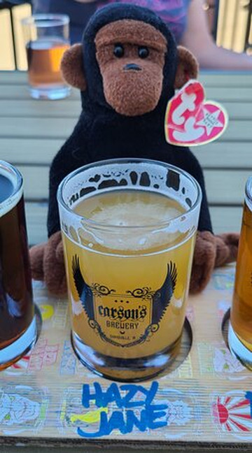 Carson's Brewery-埃文斯维尔必去景点